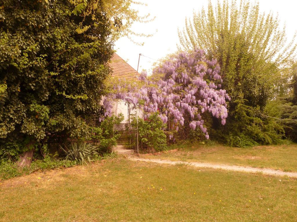 Dobo Tanya Villa Roszke Exterior photo