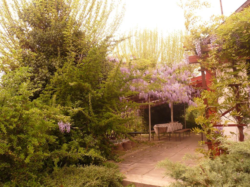 Dobo Tanya Villa Roszke Exterior photo
